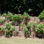 Retirement Assisted Living Pietermaritzburg KZN