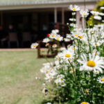 Retirement Assisted Living Pietermaritzburg KZN