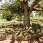 Assisted Living, Frail Care , Retirement Pietermaritzburg Eston