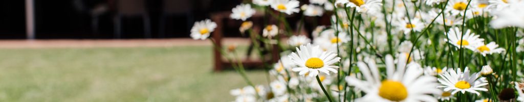 Retirement Assisted Living Pietermaritzburg KZN